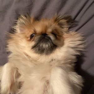 Meet your Posher, Madison